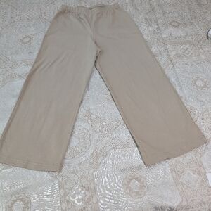 Women in control. Tan pants elastic waist. S